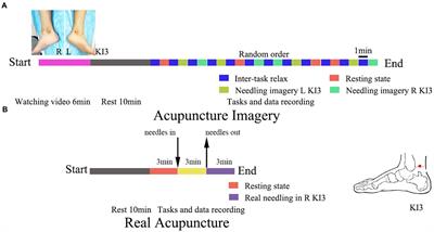 Neural oscillations during acupuncture imagery partially parallel that of real needling